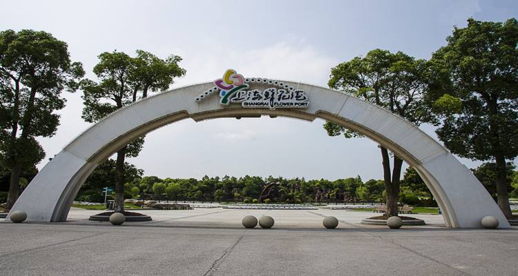 上海鲜花港地址在哪里（上海鲜花港电话号码）