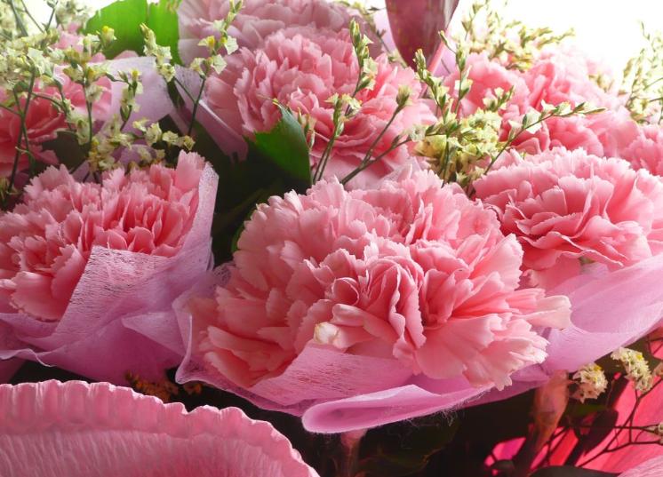 母亲节送妈妈什么花（母亲节送妈妈什么花手工）