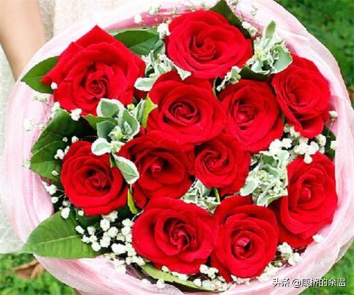 11朵玫瑰花语及价格（11朵玫瑰花花语和寓意表）