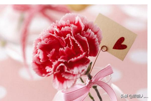 教师节给老师送什么花好