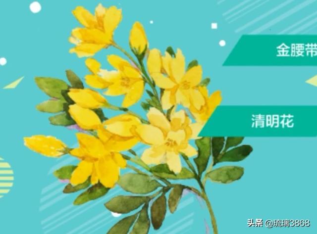 春天都有哪些花盛开（春天有哪些花盛开先后）