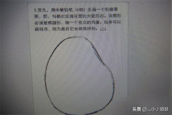 玫瑰花的画法（玫瑰花的画法素描）
