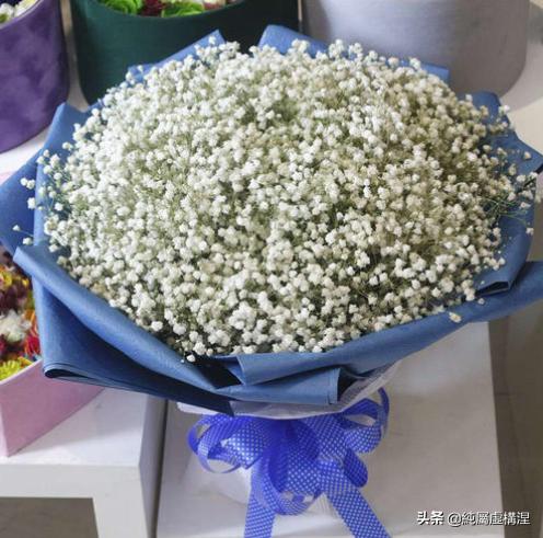 男生送女生满天星代表什么意思