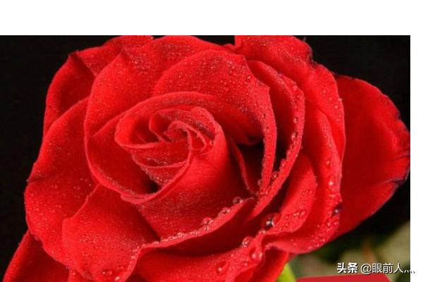 情人节送什么礼物（情人节送什么礼物给老公合适）