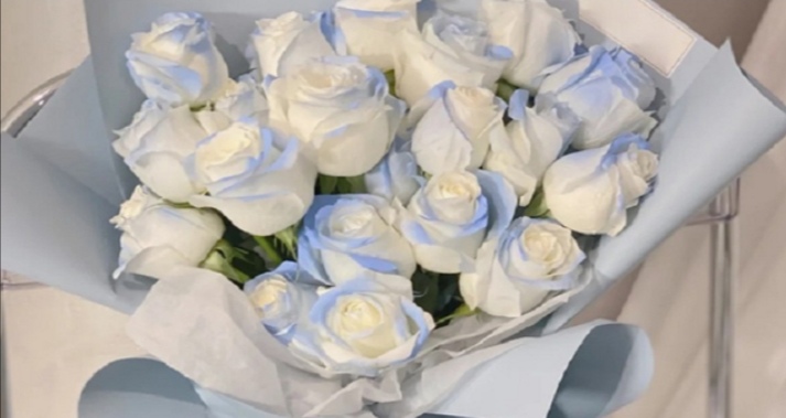 碎冰蓝的花语是什么（碎冰蓝花束花语）